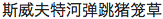 chinese translation of title